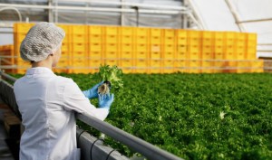 Görüntü 29.02.2024 16.08